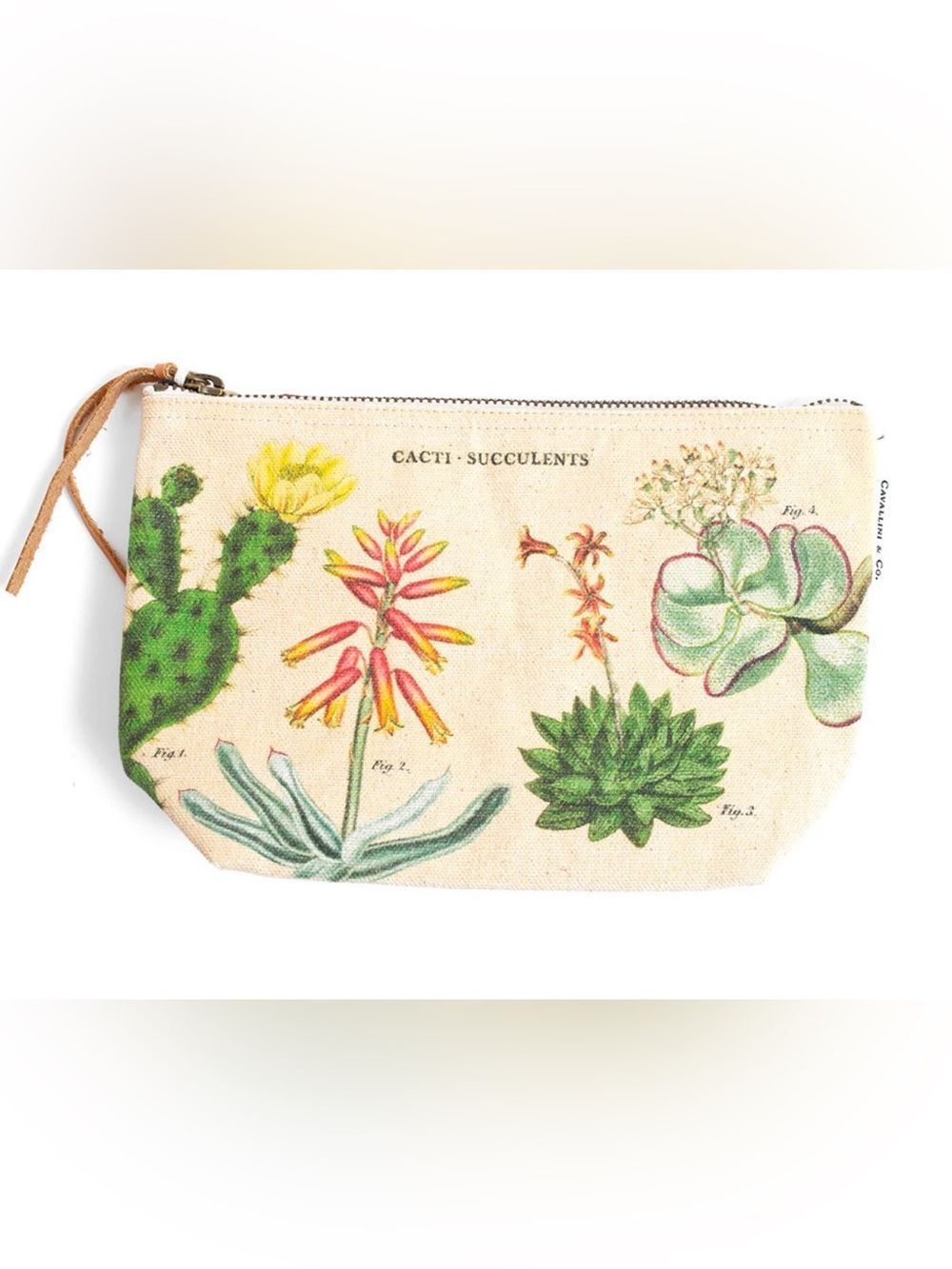 Cavallini & Co Cacti & Succulents natural ivory green vintage pouch 100% cotton